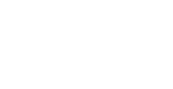 Stallion_logo_white